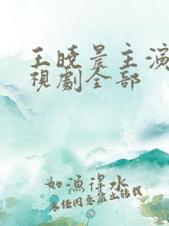 王晓晨主演的电视剧全部