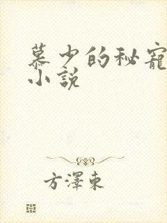 慕少的秘宠甜妻小说
