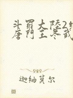 斗罗大陆2绝世唐门王冬武魂