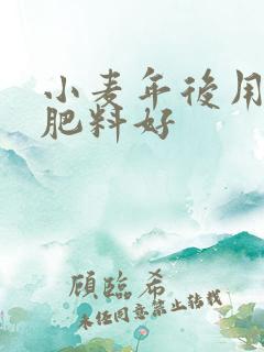小麦年后用什么肥料好
