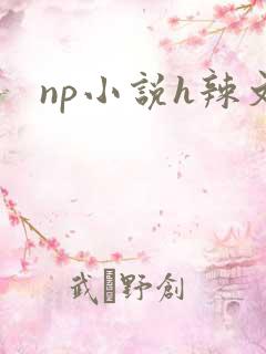 np小说h辣文