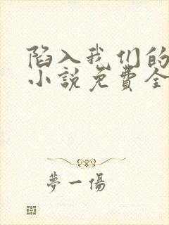 陷入我们的热恋小说免费全文阅读
