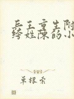 兵王重生附身纨绔姓陈的小说