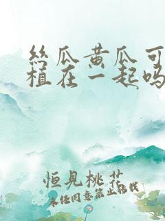 丝瓜黄瓜可以种植在一起吗 丝瓜黄瓜可以种植在一起吗