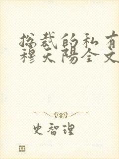 总裁的私有宝贝穆天阳全文阅读免费