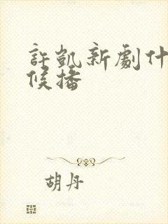 许凯新剧什么时候播