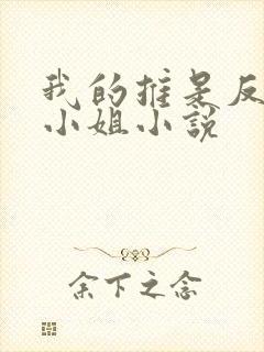 我的推是反派大小姐小说