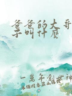 爸爸的大哥的儿子叫什么