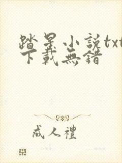 踏星小说txt下载无错