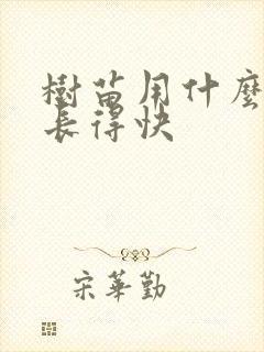 树苗用什么肥料长得快