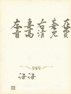 左妻右妾在线观看高清免费版全集
