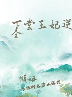 下堂王妃逆袭记全