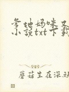 爹地妈咪又跑了小说txt下载