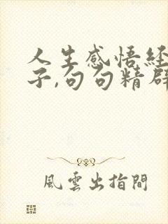 人生感悟经典句子,句句精辟入骨