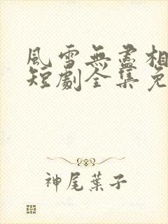 风雪无尽相思情短剧全集免费播放