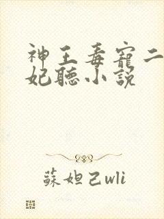 神王毒宠二嫁王妃听小说