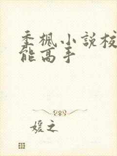 季枫小说校园全能高手