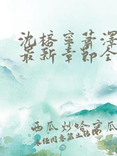 沈榕宁萧泽小说最新章节全文阅读