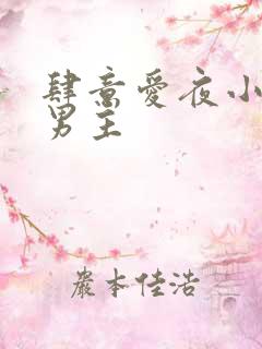 肆意爱夜小说双男主