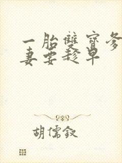 一胎双宝爹地宠妻要趁早