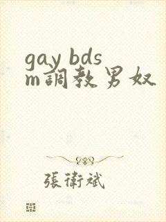 gay bdsm调教男奴