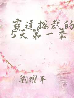 霸道总裁的365天第一季