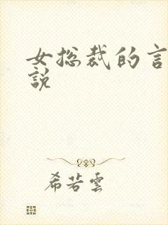 女总裁的言情小说