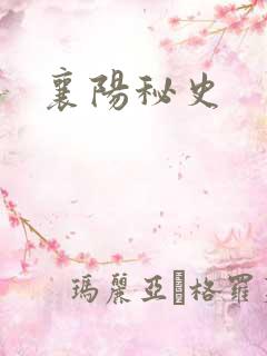 襄阳秘史