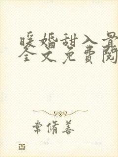 暖婚甜入骨小说全文免费阅读