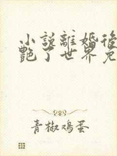 小说离婚后她惊艳了世界免费下载 小说离婚后她惊艳了世界免费下载