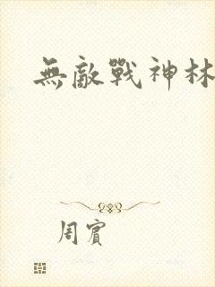 无敌战神林北