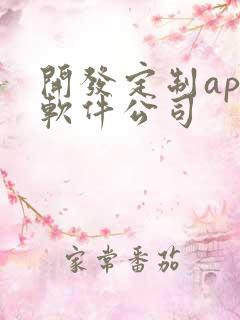 开发定制app软件公司