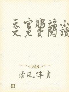 天官赐福小说全文免费阅读未删减无弹窗