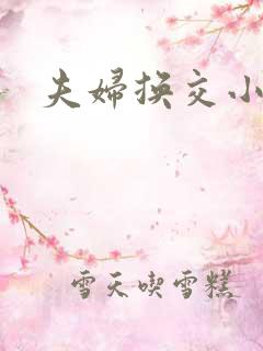 夫妇换交小说