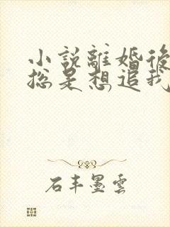 小说离婚后前夫总是想追我