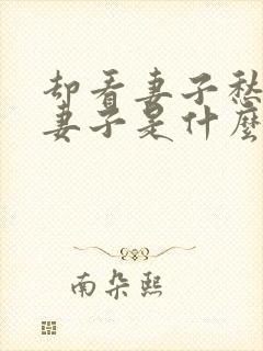却看妻子愁何在妻子是什么意思