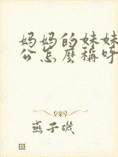 妈妈的妹妹的老公怎么称呼