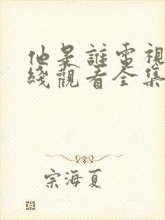 他是谁电视剧在线观看全集免费