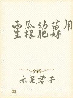 西瓜幼苗用什么生根肥好