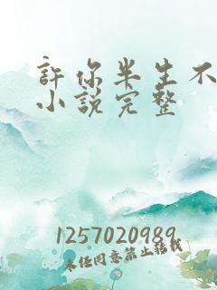 许你半生不见 小说完整