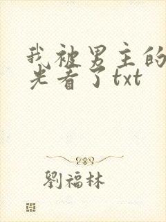我被男主的白月光看了txt