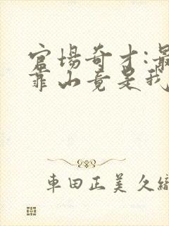 官场奇才:最强靠山竟是我自己李澜全文阅