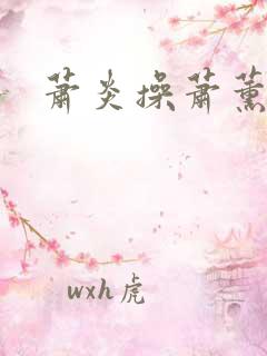 萧炎操萧薰儿
