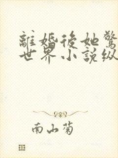 离婚后她惊艳了世界小说纵横免费