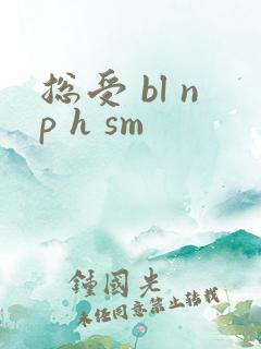 总受 bl np h sm 总受 bl np h sm