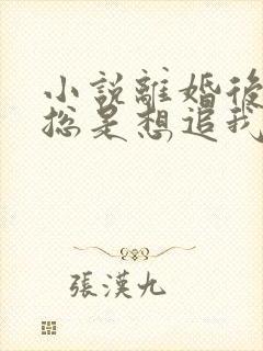 小说离婚后前夫总是想追我