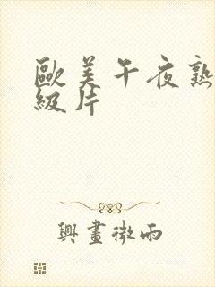 欧美午夜熟妇一级片
