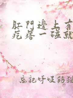 肛门边上有个硬疙瘩一碰就疼