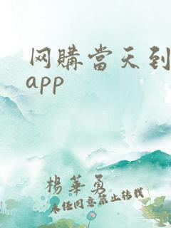 网购当天到货的app