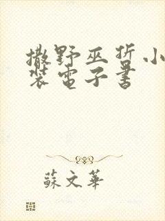 撒野巫哲小说下装电子书